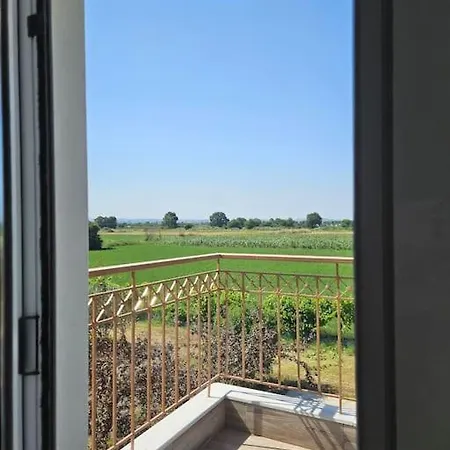 Sunny House Διαμέρισμα